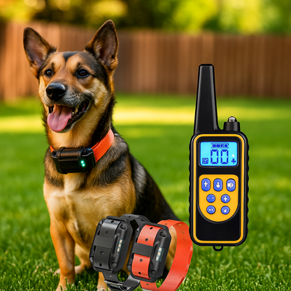 Collar de Perro Eléctrico Impermeable con Control Remoto