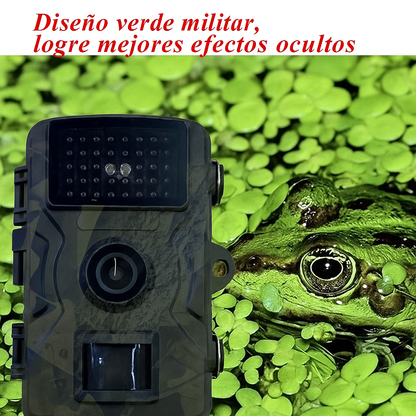 Cámara de Caza y Vida Silvestre con Visión Nocturna