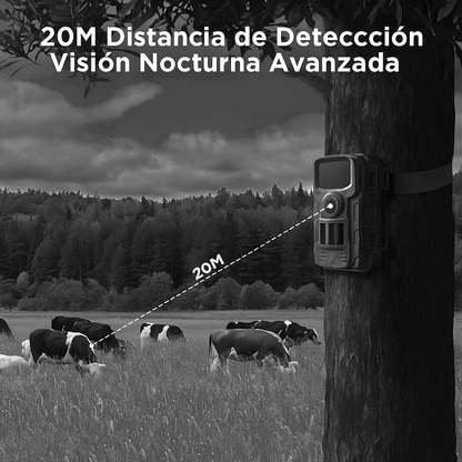 Cámara de Caza y Vida Silvestre con Visión Nocturna