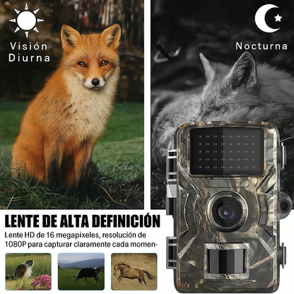 Cámara de Caza y Vida Silvestre con Visión Nocturna