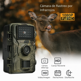 Cámara de Caza y Vida Silvestre con Visión Nocturna
