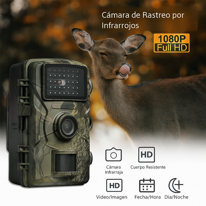 Cámara de Caza y Vida Silvestre con Visión Nocturna