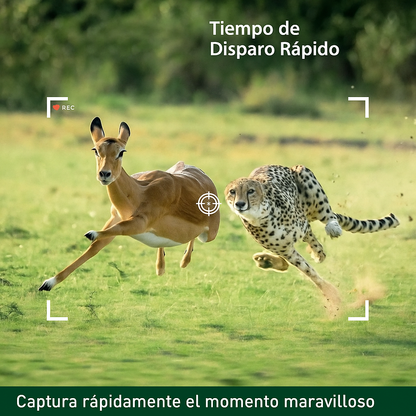Cámara de Caza y Vida Silvestre con Visión Nocturna