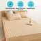Protector Colchón Impermeable DreamShield Silencioso - VyFlair
