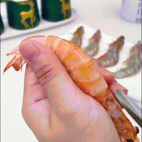Line Maw Knife - Multifunctional for Shrimp & Fish