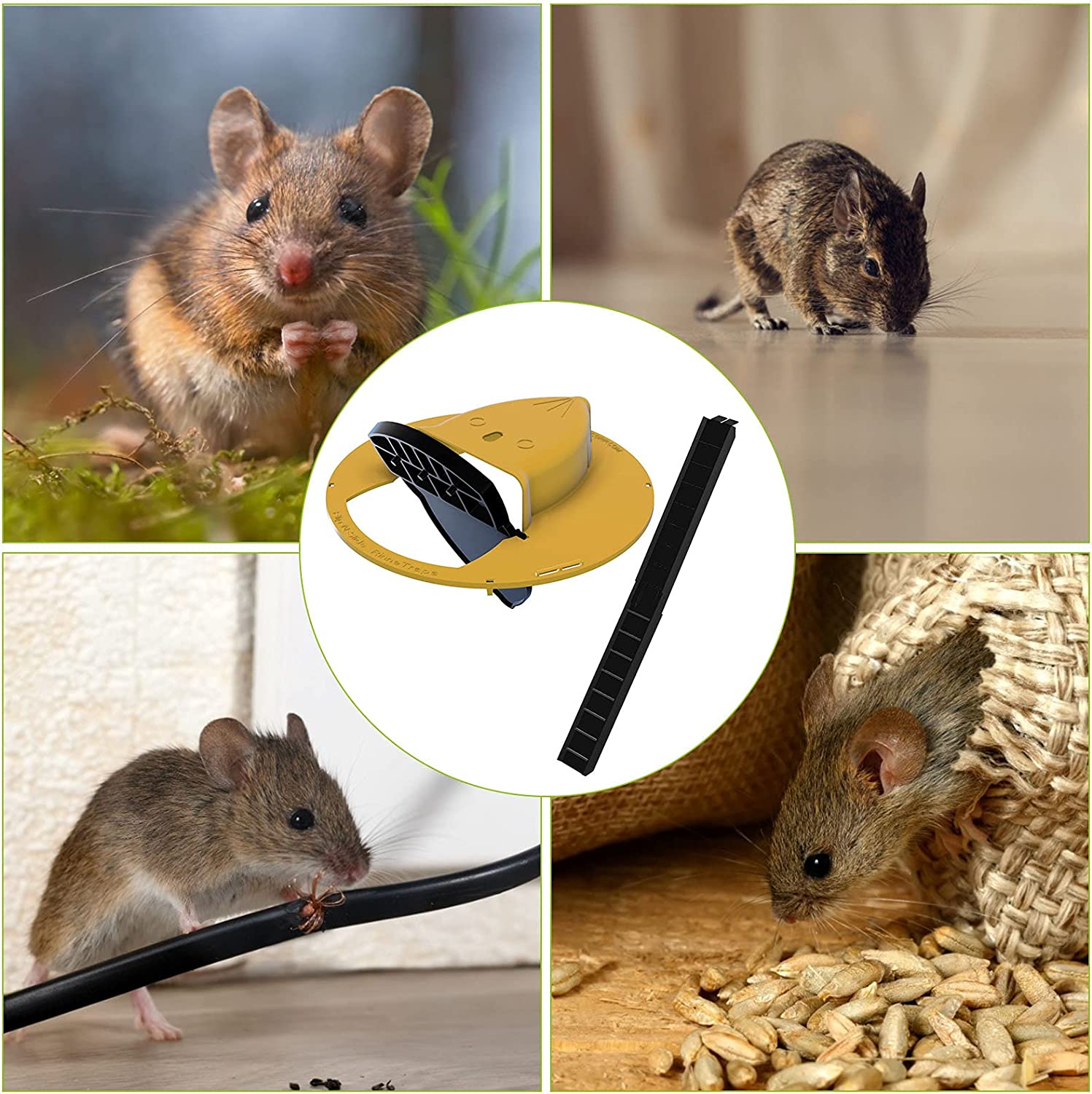 Trampa Humana para Ratones con Tapa de Cubo