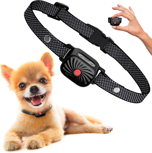 Nina | Collar Anti-Aboiement – Calma Asegurada para Perros Pequeños