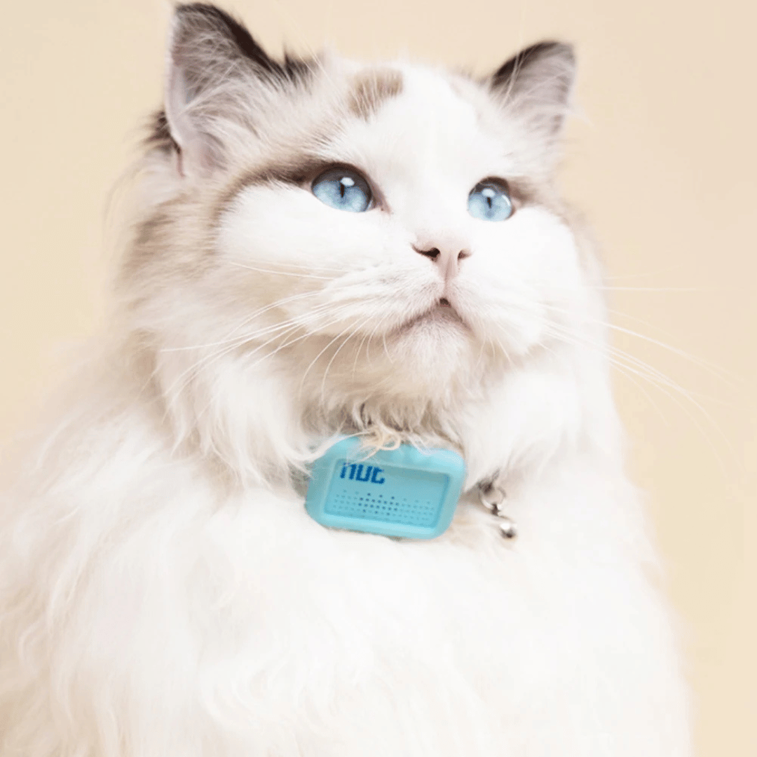 Rastreador GPS Inteligente - Gatos y Perros - Impermeable-Rastreadores-VyFlair