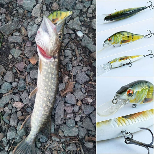 Fishing Lures - Pike, Perch and Zander