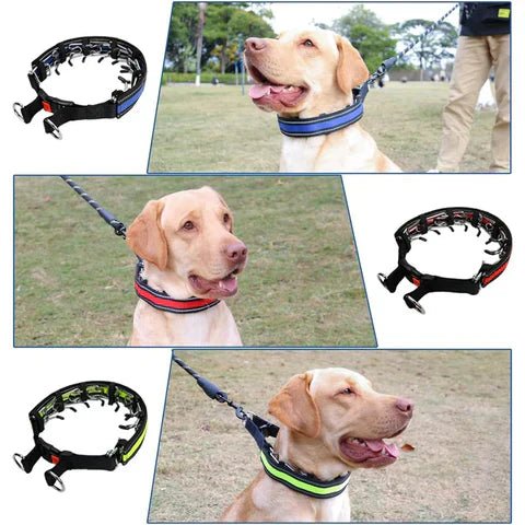 LeadEase Collar Antitirones para Paseos y Entrenamiento - VyFlair
