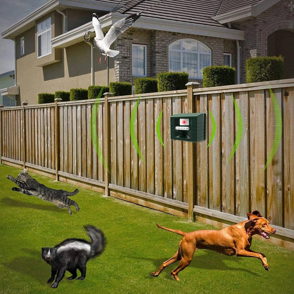 Repelente ultrasónico de picos para un control efectivo de aves - Deshágase de los picos