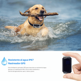 Mini GPS Tracker | Tiempo Real - Impermeable - Mascotas y Niños-Rastreadores-VyFlair