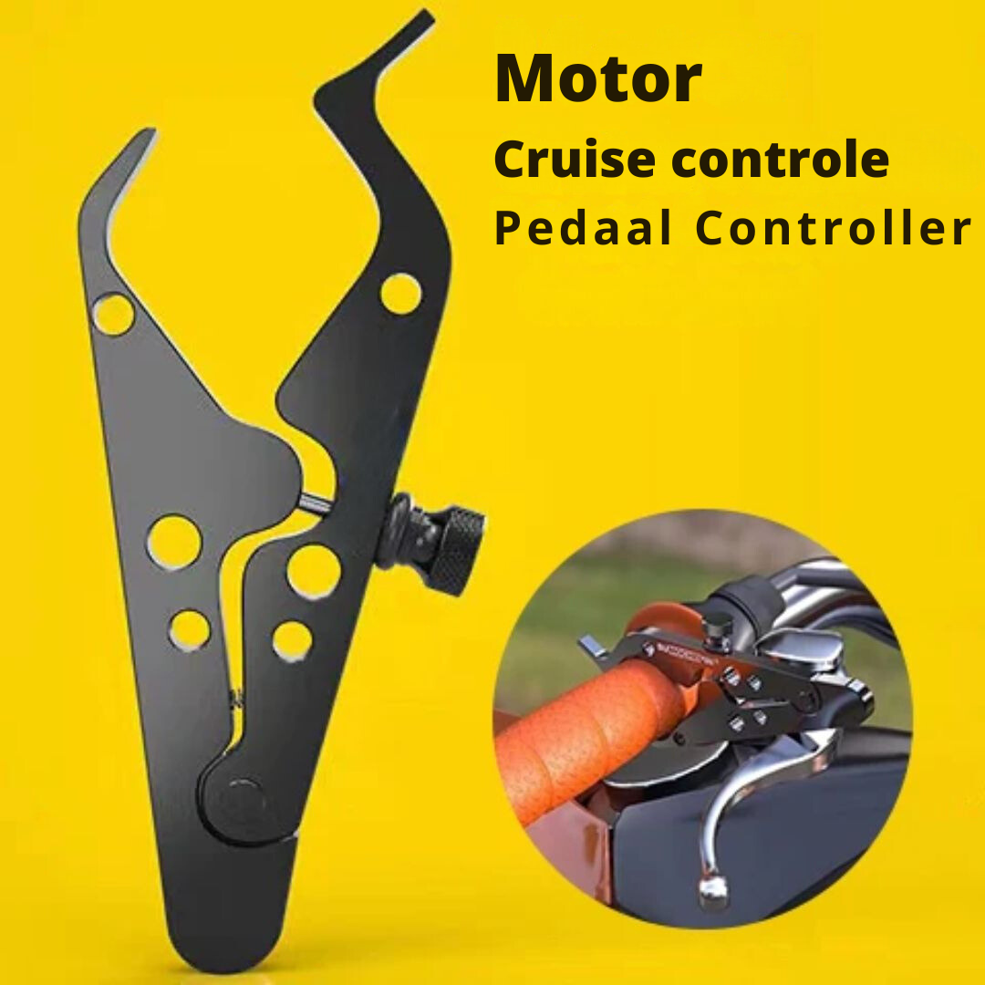 Control de crucero - Motor-motor accessoires-VyFlair