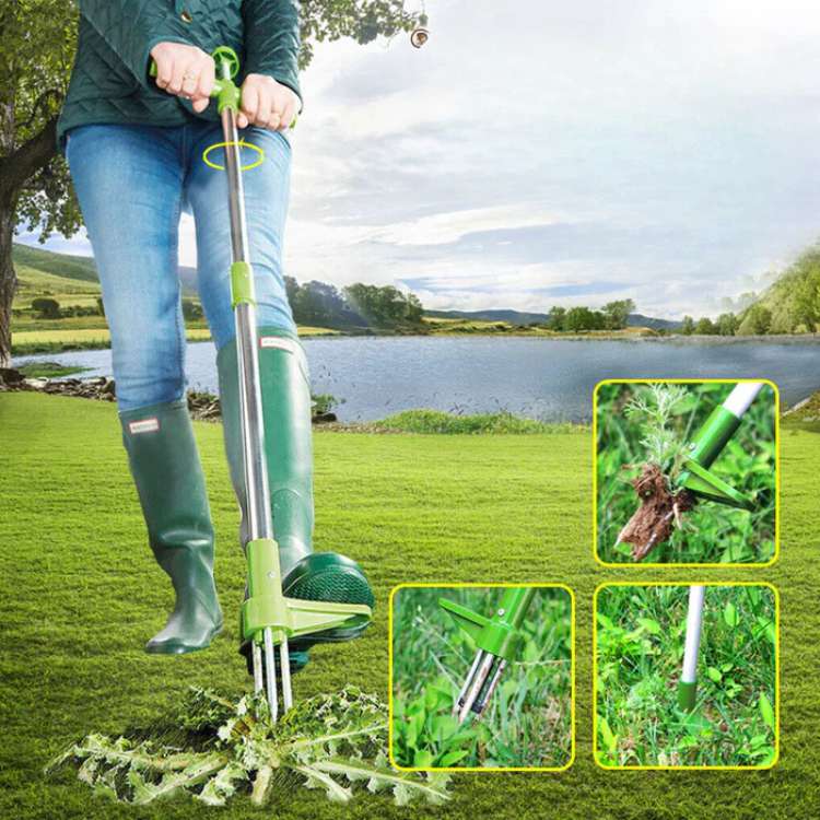 Extractor de Malezas Jardín Acero Inoxidable Ergonómico