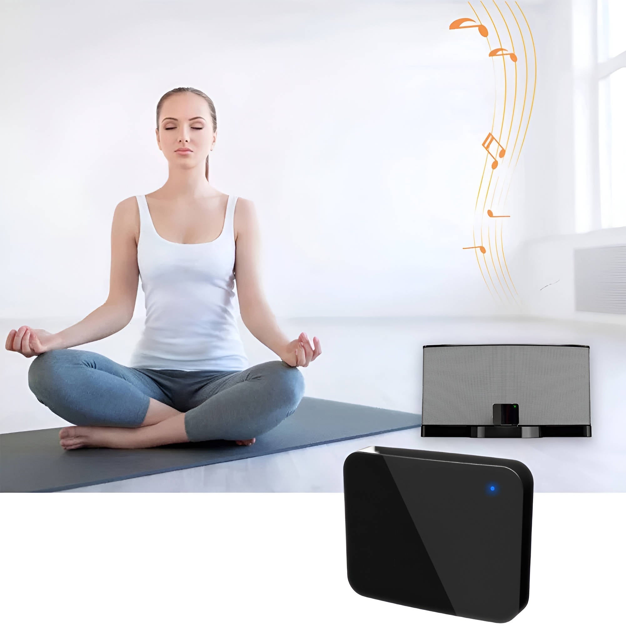 Adaptador Inalámbrico Bluetooth para Docks de Audio