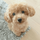 Cojín de Abrazo Cachorro de Peluche Realista - VyFlair