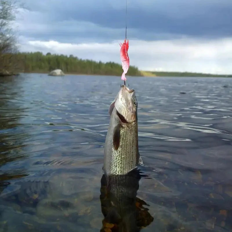 Calendario de Adviento LureBox 2025 | 24 Señuelos de Pesca Premium para Pescadores