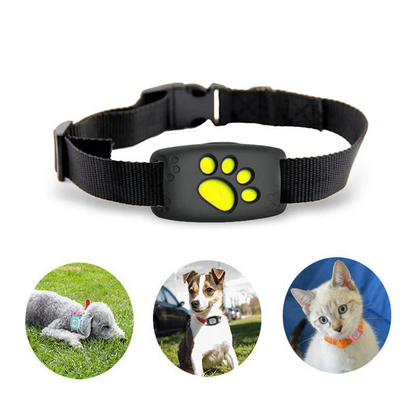 Collar GPS Mascotas Perros y Gatos Impermeable