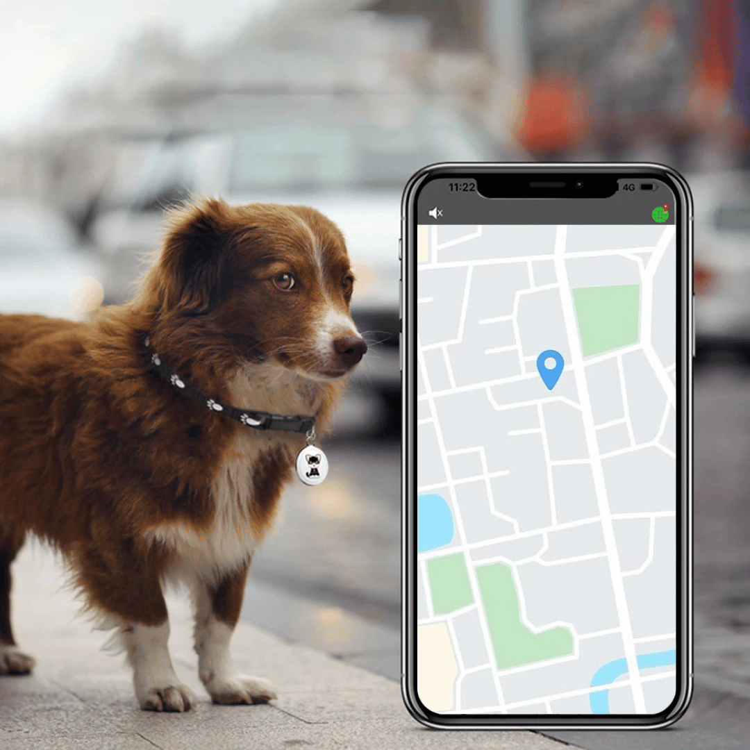 Rastreador GPS para Mascotas - Perros y Gatos - Android e iOS-Rastreadores-VyFlair