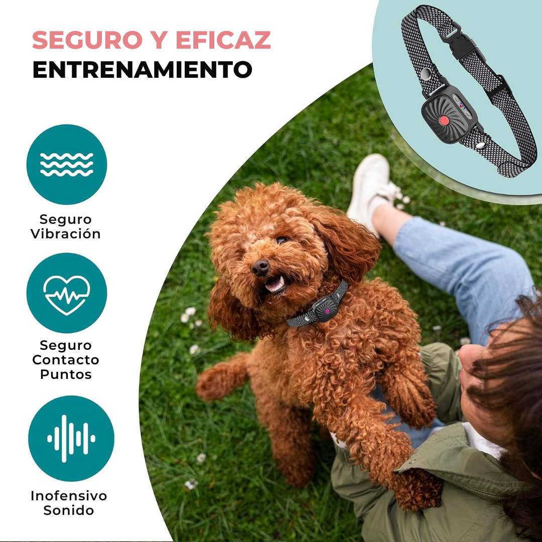 Nina | Collar Anti-Aboiement – Calma Asegurada para Perros Pequeños