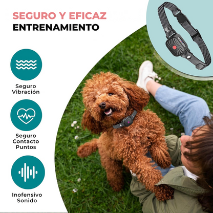 Nina | Collar Anti-Aboiement – Calma Asegurada para Perros Pequeños