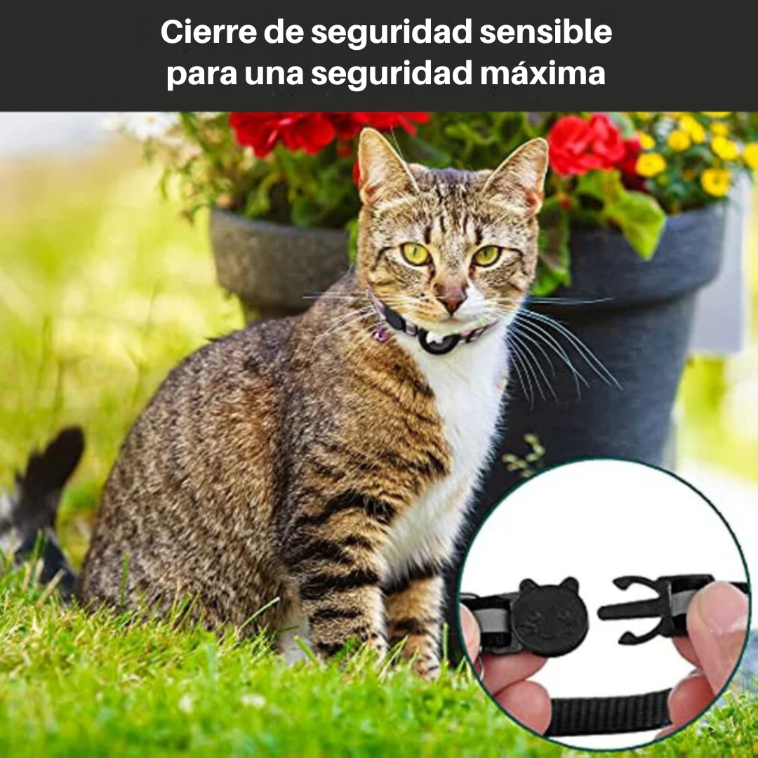 Collar GPS para Gatos con Cierre de Liberación Rápida