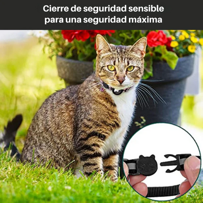 Collar GPS para Gatos con Cierre de Liberación Rápida